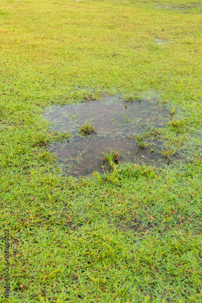 Drainage catch basin installation in a Cypress, TX yard