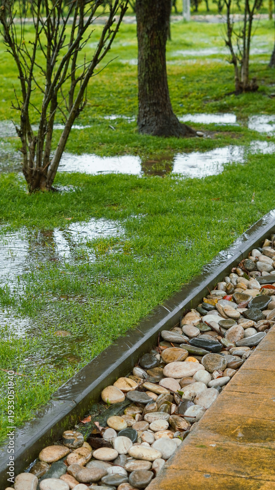 Standing water in a Cypress, TX yard — a sign of a drainage problem