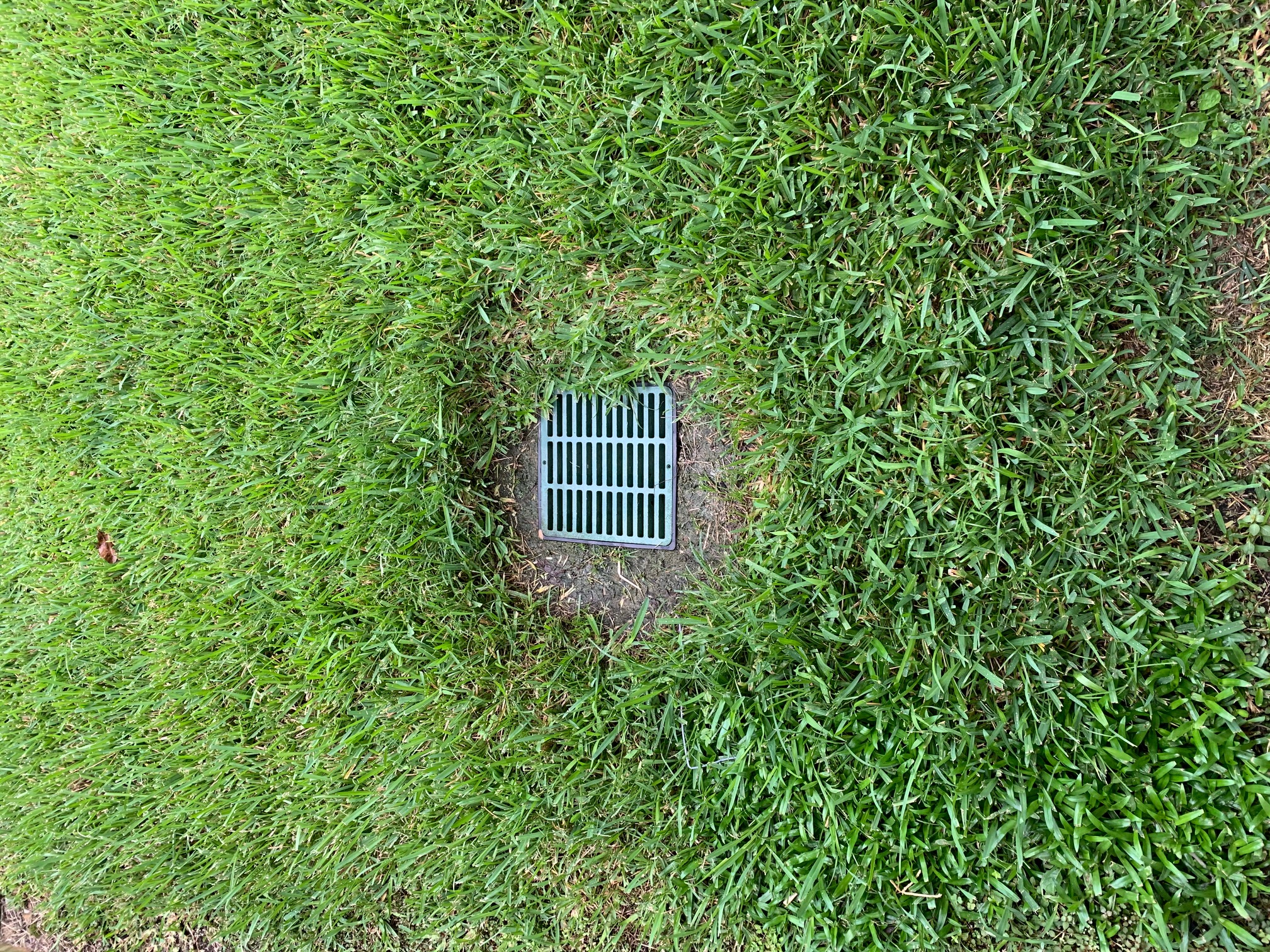 Finished drainage catch basin set flush into a healthy green lawn